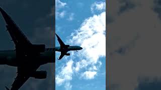 Citilink landing CGKPKN video fyp airport flightradar24 [upl. by Latona]