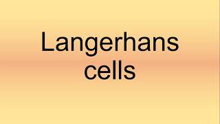 Langerhans Cells Pronunciation  How to Say  How to Pronounce [upl. by Clancy]