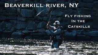 Euro Nymphing the Beaverkill River NY Fly Fishing in the Catskills [upl. by Enibas]