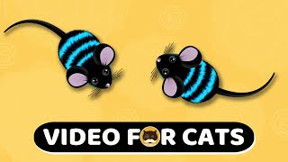 CAT GAMES  Mouse Mice Video For Cats  CAT amp DOG TV  1 Hour [upl. by Auohp]