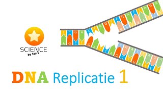 DNA REPLICATIE 1 semiconservatief en plaats van replicatie in de celcyclus [upl. by Frey]