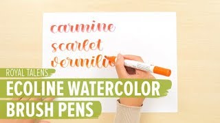 Royal Talens Ecoline Watercolor Brush Pens [upl. by Uke]