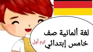 الحصة الثالثةصف خامسDer Akkusativ المفعول به ألماني تجريبيلغات ترم أول German Grade 5 [upl. by Atlas723]