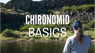 Chironomid Fly Fishing Basics [upl. by Voltmer917]