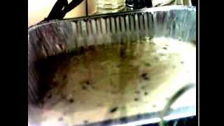 Nuwave Oven Recipes Cooking Blueberry Muffins  An Infrared Oven TV Episode [upl. by Aidekal991]