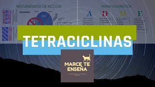 Tetraciclinas en Veterinaria [upl. by Ireg293]