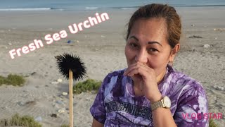 Weekend escaped  shore of Ras Al Khaimah with fresh seafoodMayet Waray Vlog dubai [upl. by Kamerman]