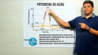 Potencial de Ação  Fisiologia Fácil [upl. by Ciccia]