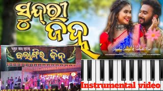 balangir din celebrationsundari janha sambalpuri song instrumental video  sambalpuri song [upl. by Teerell]