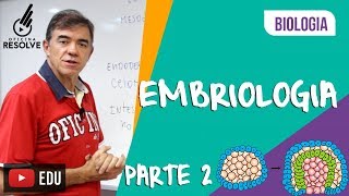 DESENVOLVIMENTO EMBRIONÁRIO  EMBRIOLOGIA Parte 02 [upl. by Slayton408]