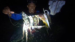 Spearfishing nakahuli ng malaking pugita [upl. by Rivers]