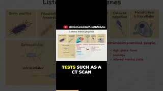 Symptoms and Diagnosis of Listeriosis microbiology101 microbiologist listeria biology [upl. by Nishi740]