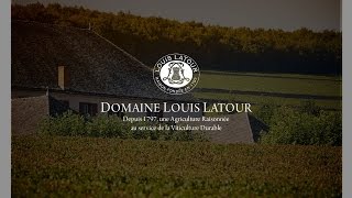 Sustainable viticulture at Domaine Louis Latour [upl. by Nage]