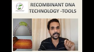 Recomb DNA techtools [upl. by Ilojne]