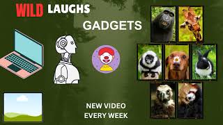 Wild Laughs Gadgets Live Stream [upl. by Eylloh]