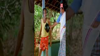 malayalamcinima movieclip love malayalalamcomedyscene moviescene comedyfilms malayalam [upl. by Ainoval]