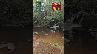 Actively Northumberland  Hareshaw Linn Waterfall Walk shortsvideo short shorts waterfall [upl. by Mathis]