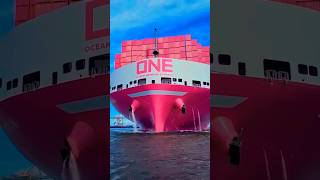 कंटेनर जहाज में क्या क्या समान जाता है । 🚢⚓MSC ENTRY IN LAST shipping shorts subscribe 1000subs [upl. by Yanaj]