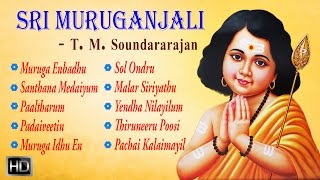 T M Soundararajan  Lord Murugan Songs  Sri Muruganjali  Tamil Devotional Songs  Audio Jukebox [upl. by Enoyrt534]