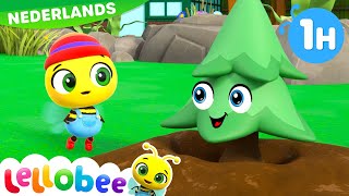 O kleine boom  Lellobee Nederlands  Kinderliedjes  Leervideos voor kinderen [upl. by Berti23]