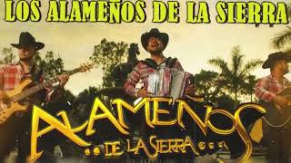 Los Alameños de La Sierra 🤠 Popurri Cumbias Mix 🤠 Pura Excelencia Bailable [upl. by Auqenet]