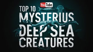 Top 10 Mysterious Deep Sea Creatures That Look Like Aliens [upl. by Olga320]