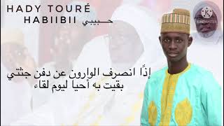 Hady Touré Zakirou [upl. by Bartlett]