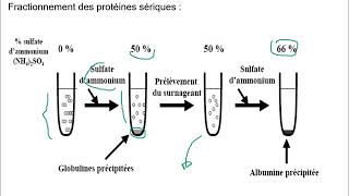 Propriétés Physiques des protéines [upl. by Helali]