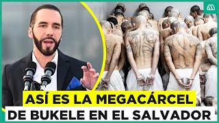 La megacárcel de Bukele Así es por dentro la prisión de El Salvador [upl. by Nenerb]