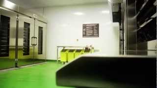 Hygienic PVC Welded Wall Cladding and Hygienic PU Resin Flooring Food Production Fit Out [upl. by Halian363]