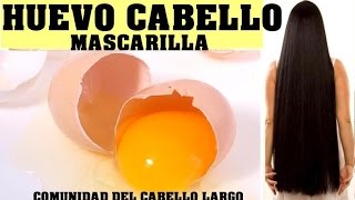 MASCARILLA DE HUEVO ¡¡Consigan cabellos fuertes largos y con proteínas [upl. by Eiddet304]