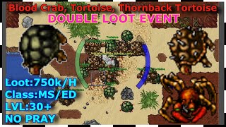 Double Loot EVENT Blood Crab Tortoise Thornback Tortoise Laguna Islands  Loot 750kH  TIBIA [upl. by Nonohcle]