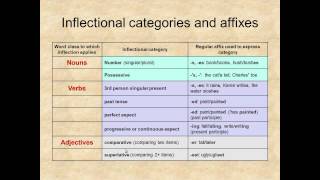 Lexicology Unit 10 Morphology [upl. by Aelyak]