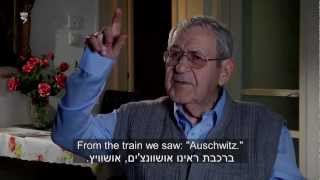 Holocaust Survivor Testimony Otto Dov Pressburger [upl. by Teerprug]