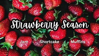 Strawberry Season  Making freezer jam strawberry shortcake and Strawberry Muffins [upl. by Suhail]