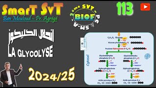 113 La Glycolyse 2024 [upl. by Driskill42]