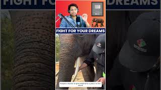 Suda The painter elephant  Artist elephant  Fight for your dreams  Motivational speech  Love [upl. by Stovall397]