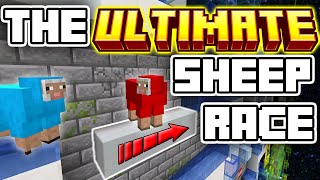 The ULTIMATE Sheep Race Marble race in Minecraft [upl. by Tommy]