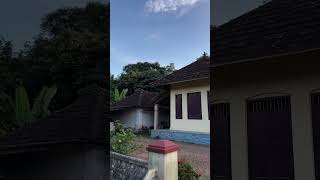 Tharavadu subscribemychannel youtubeshorts amaran kottayam kerala [upl. by Tildi]