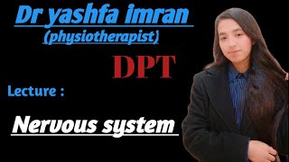 Nervous system physiology  CNS  PNS  Dr yashfa imran physiotherapist [upl. by Torie930]