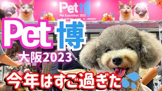 【Pet博2023大阪】ペット博に毎年行ってるけど今年は本当に凄すぎた！㏌インテックス大阪【前編】 [upl. by Tifanie]