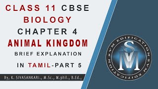 CLASS 11 CBSE BIOLOGY CHAPTER 4 ANIMAL KINGDOM PART 5  EXPLANATION IN TAMIL [upl. by Fulks]