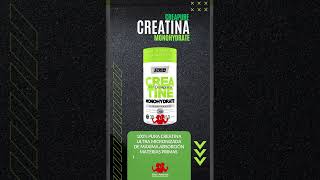 CREATINE MONOHYDRATE ULTRAMICRONIZED CREAPURE  STAR NUTRITION [upl. by Halivah]