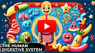 The Human Digestive System [upl. by Asillam]