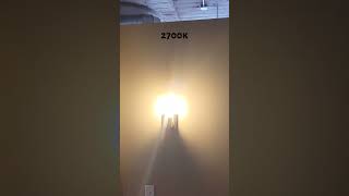 2700k light vs 5000k [upl. by Halstead802]