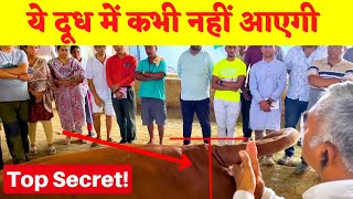 Productive Gir Cow Identifiction amp Devlopment  Gir Cow Training Camp [upl. by Freyah]