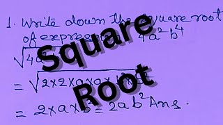 square root of expressions  chapter 11  class 9th amp 10th  questions 1 to 16 [upl. by Aldridge98]