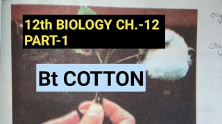 Class 12 biology chapter 12part 1biotechnology amp its applicationBt cottonStudy with Farru [upl. by Ardene]