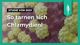 ChlamydienInfektionen Neue Studie deckt auf wie Bakterien das Immunsystem täuschen können [upl. by Cesar]