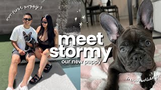 First 72 HOURS with Our New Puppy 🐾  French Bulldog [upl. by Rodl]